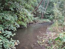 Kačák nad Hostimí