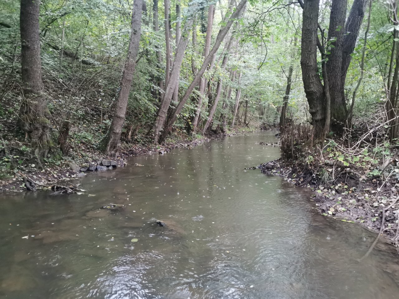 Ka��k nad Hostim�