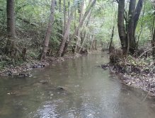 Kačák nad Hostimí