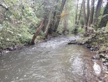 Kačák nad Hostimí