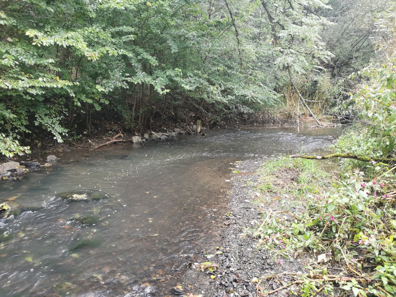 Ka��k nad Hostim�