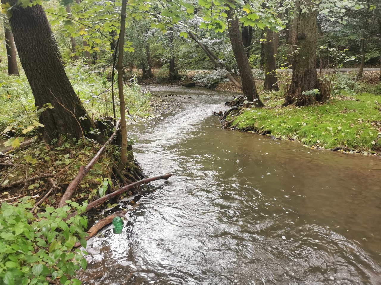 Ka��k nad Hostim�