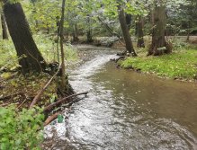 Kačák nad Hostimí