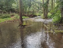 Kačák nad Hostimí