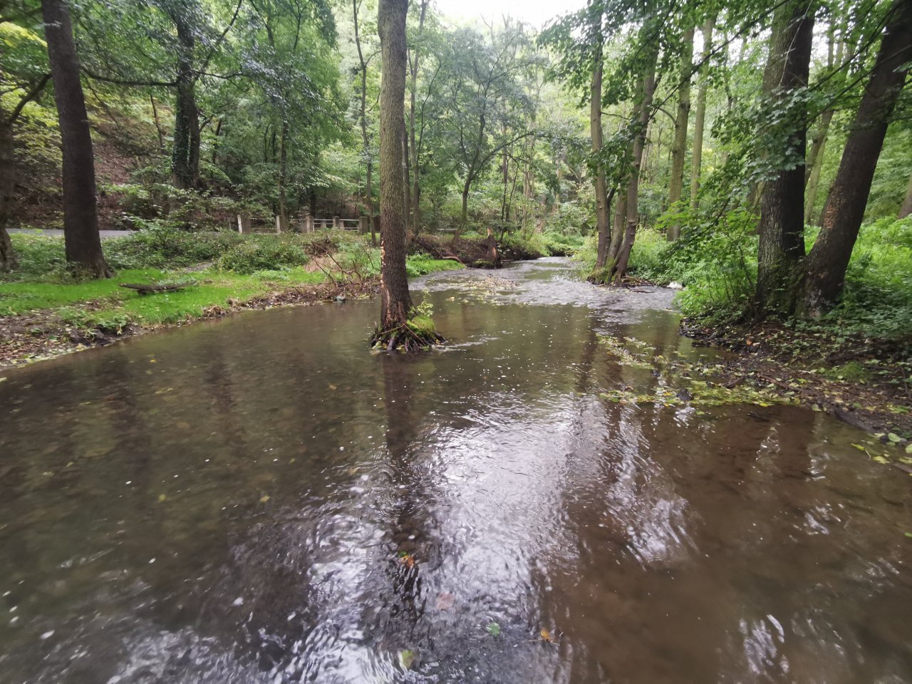 Ka��k nad Hostim�