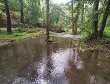 Kačák nad Hostimí