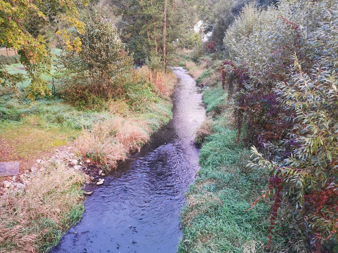 Ka��k nad Hostim�