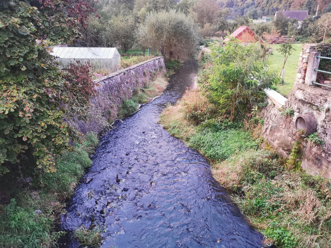 Ka��k nad Hostim�