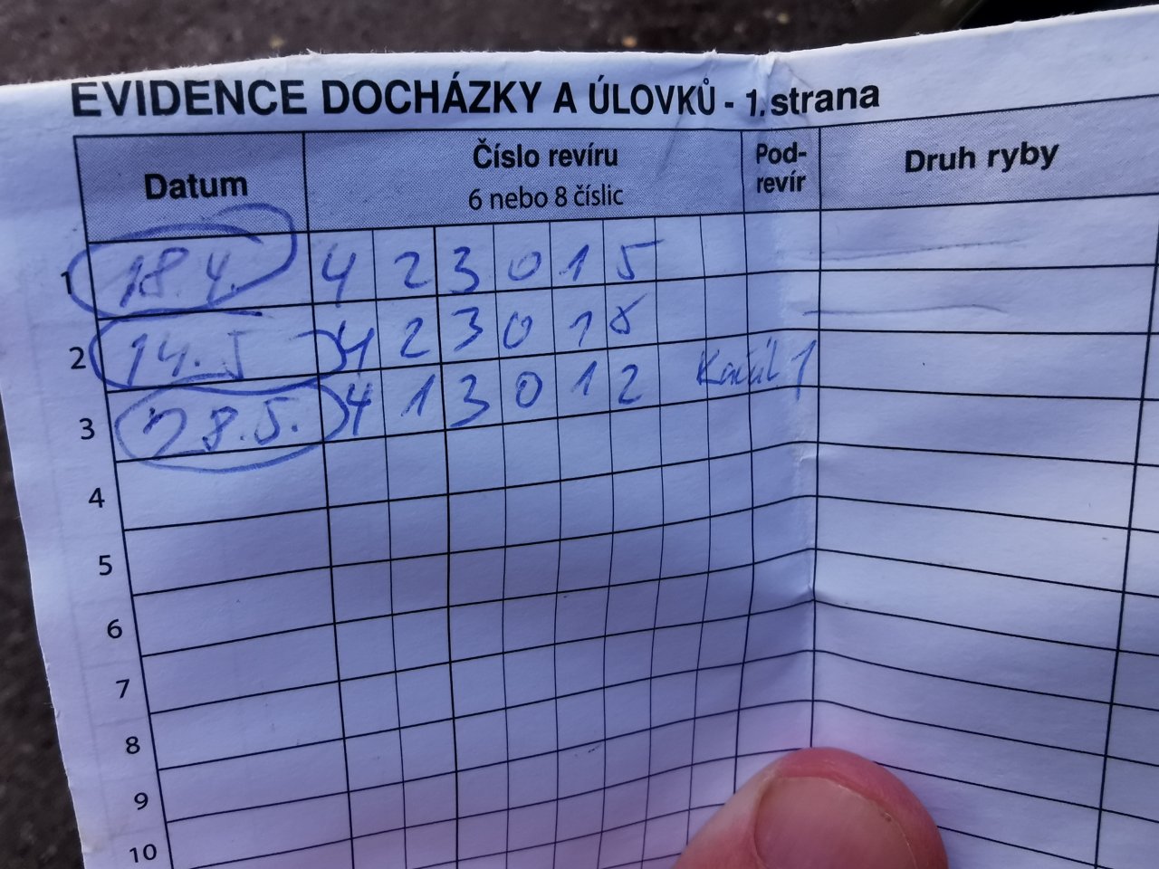 Ka��k nad Hostim�