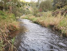 Kačák nad Hostimí