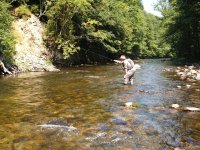 Jizera nad Poniklou - Galerie