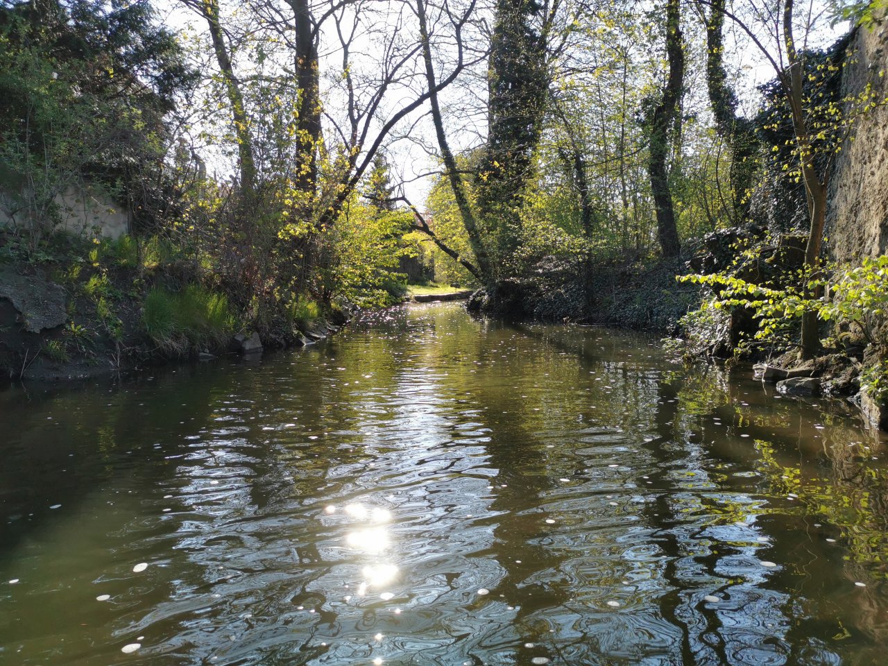 Boti� v Praze Z�b�hlic�ch