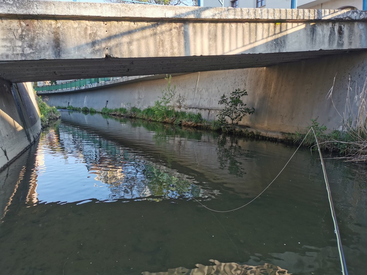 Boti� v Praze Z�b�hlic�ch