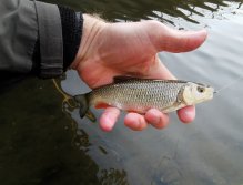 Botič v Praze Záběhlicích