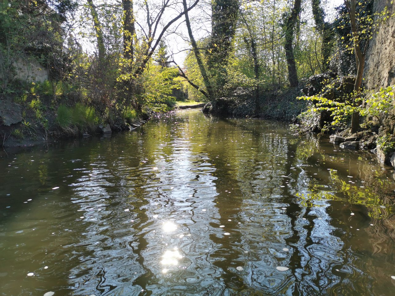 Boti� v Praze Z�b�hlic�ch