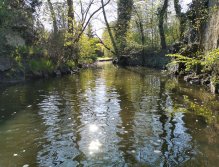 Botič v Praze Záběhlicích