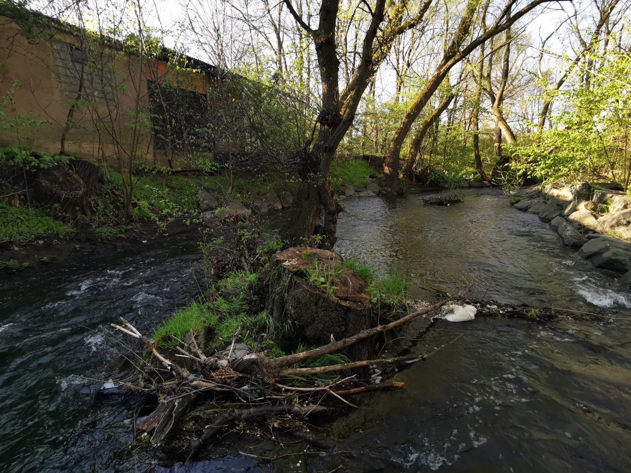 Boti� v Praze Z�b�hlic�ch