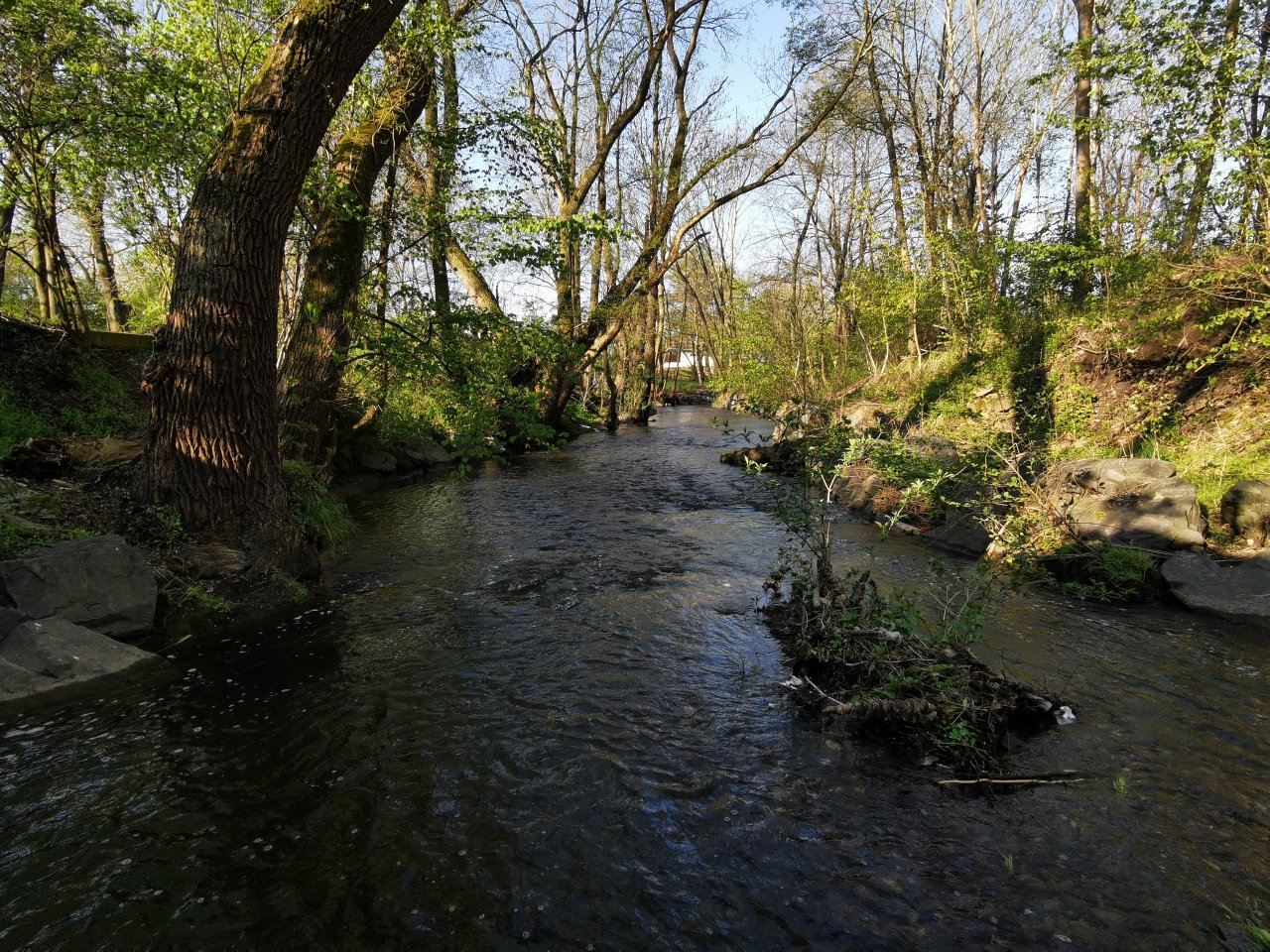 Boti� v Praze Z�b�hlic�ch