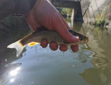 Botič v Praze Záběhlicích