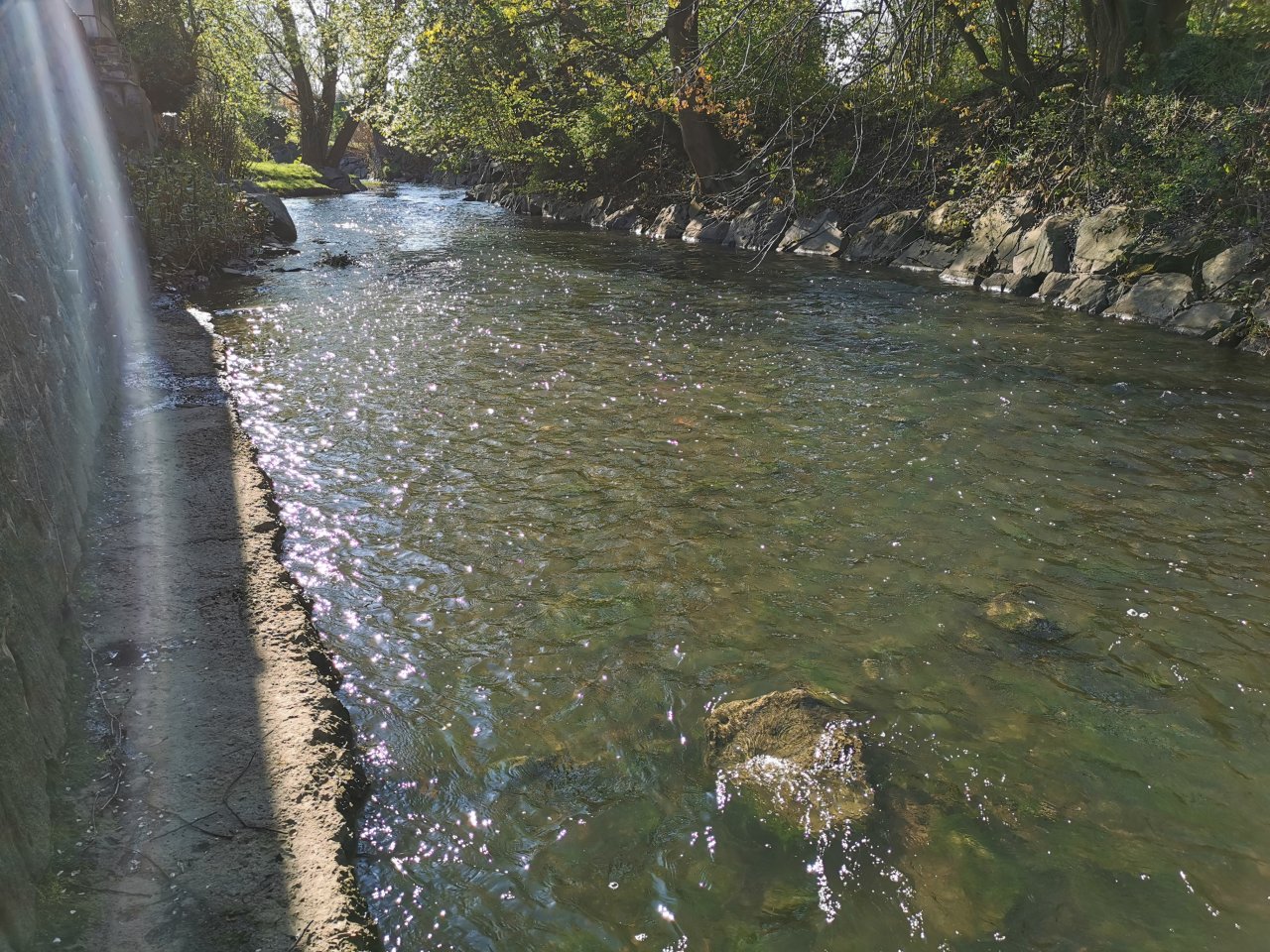 Boti� v Praze Z�b�hlic�ch