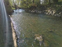 Botič v Praze Záběhlicích