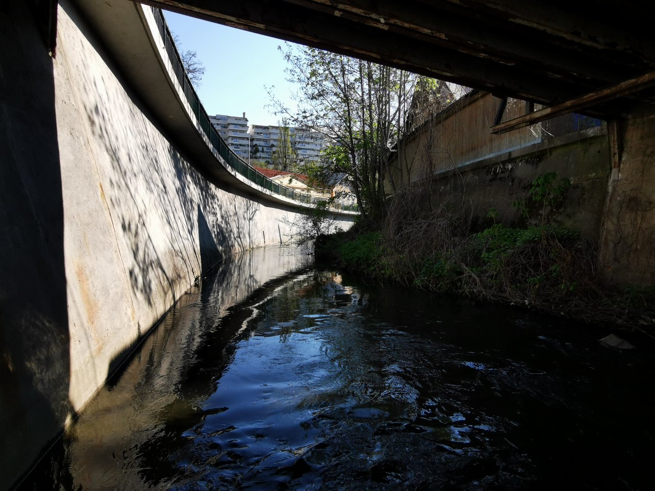 Boti� v Praze Z�b�hlic�ch