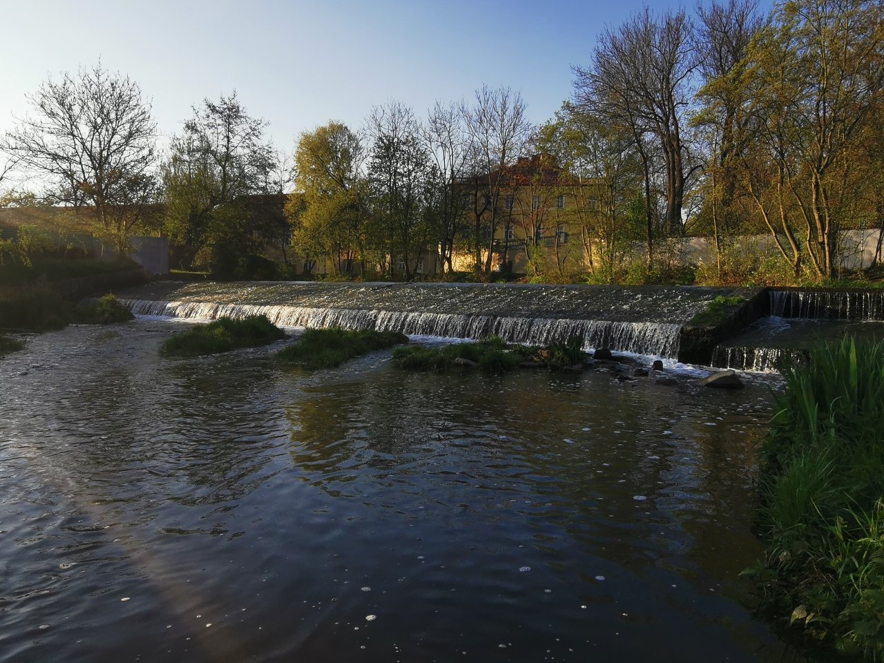 Boti� v Praze Z�b�hlic�ch