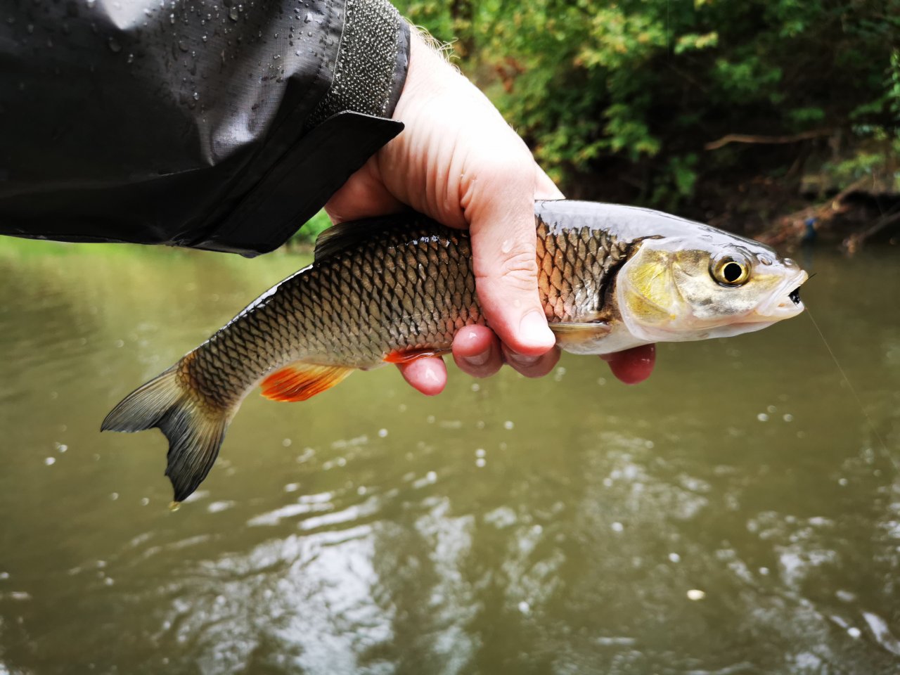 Lit�vka nad soutokem s Berounkou