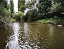 Litávka nad soutokem s Berounkou