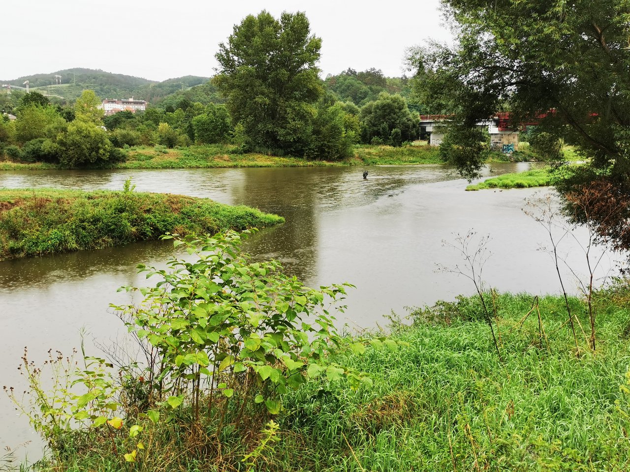 Lit�vka nad soutokem s Berounkou