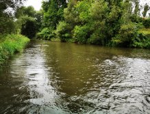 Litávka nad soutokem s Berounkou