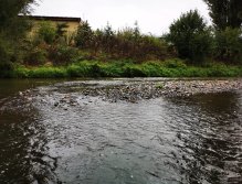 Litávka nad soutokem s Berounkou