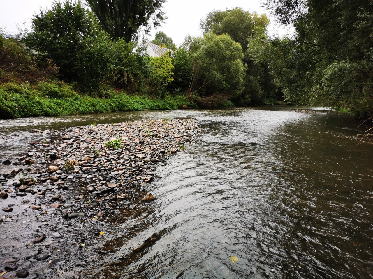 Lit�vka nad soutokem s Berounkou