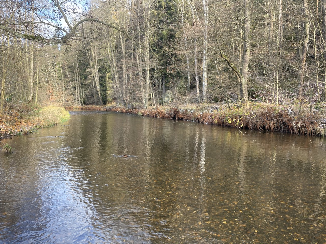 Svatava u zahr�dk��sk� kolonie ve Svatav�