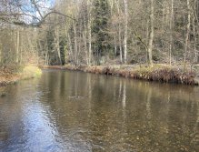 Svatava u zahrádkářské kolonie ve Svatavě