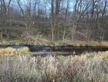 Svatava pod čističkou ve Svatavě