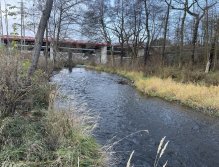 Svatava pod čističkou ve Svatavě