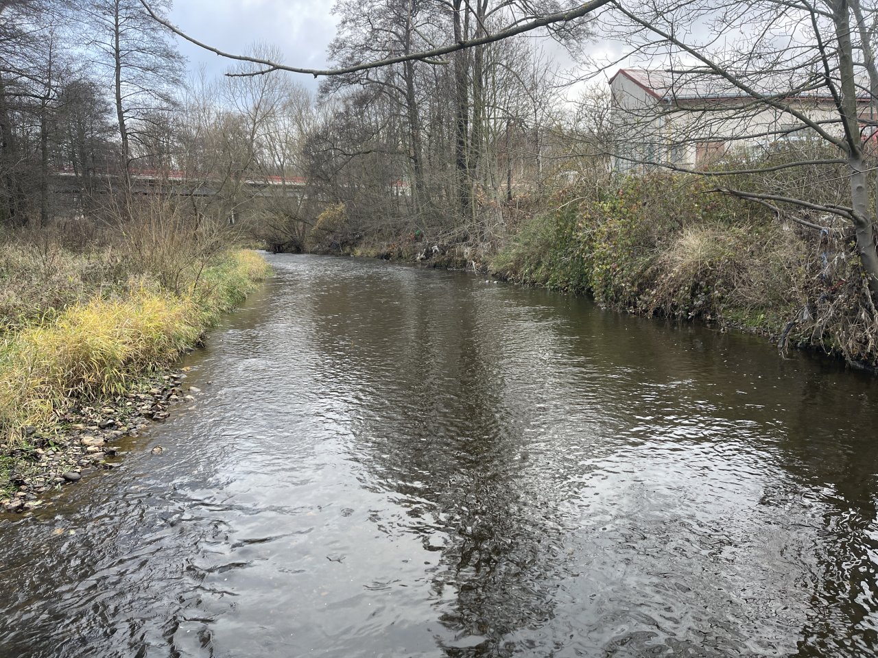 Svatava pod �isti�kou ve Svatav�