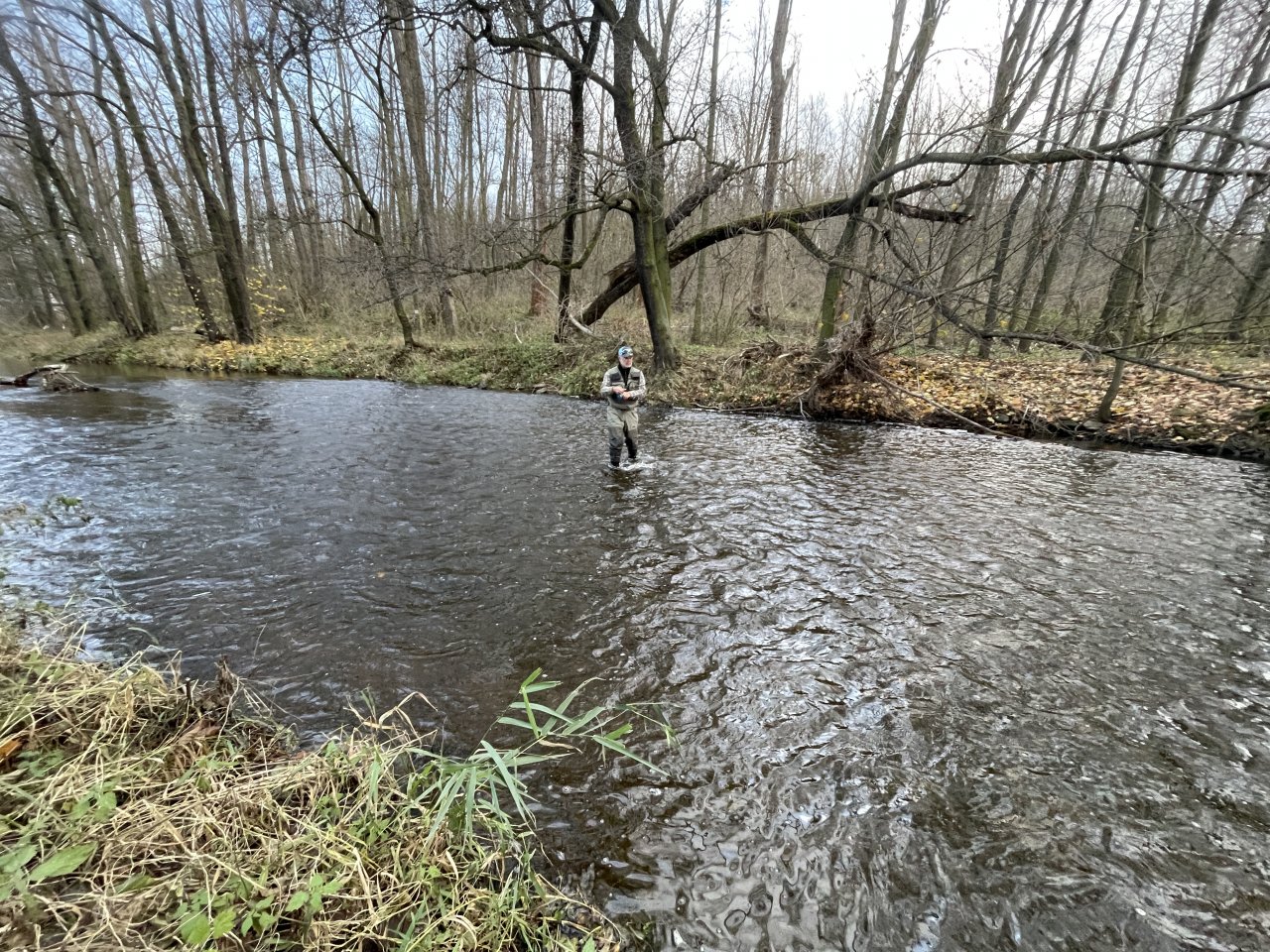 Svatava pod �isti�kou ve Svatav�