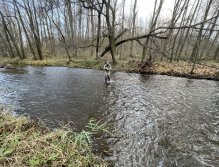 Svatava pod čističkou ve Svatavě