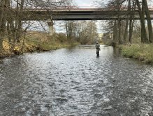 Svatava pod čističkou ve Svatavě