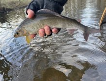 Svatava pod čističkou ve Svatavě