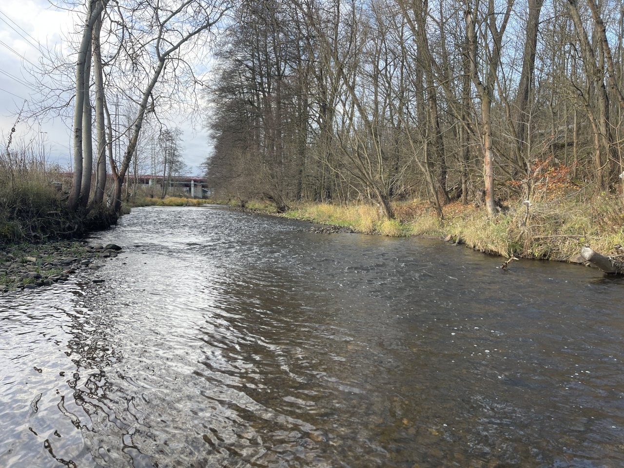 Svatava pod �isti�kou ve Svatav�