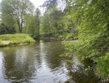 Malše na soutoku s Černou