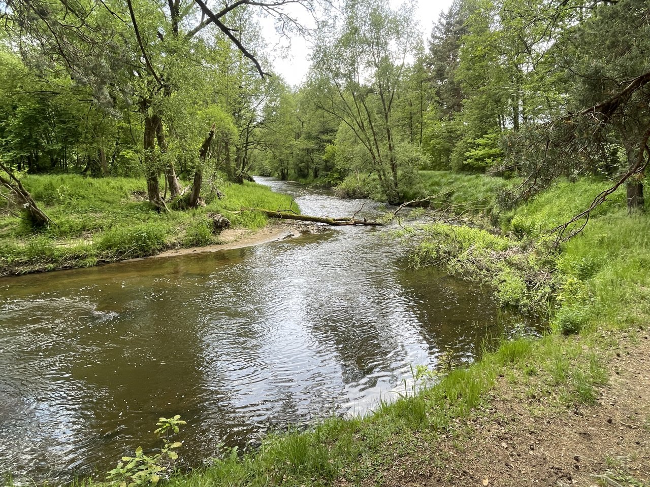 Mal�e na soutoku s �ernou