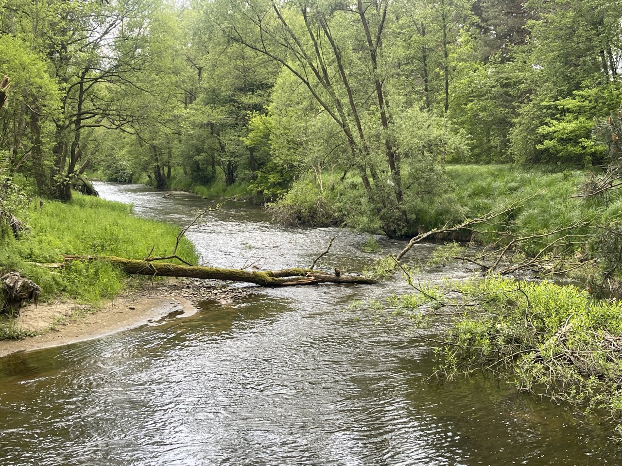 Mal�e na soutoku s �ernou