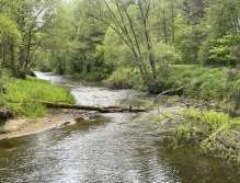 Malše na soutoku s Černou