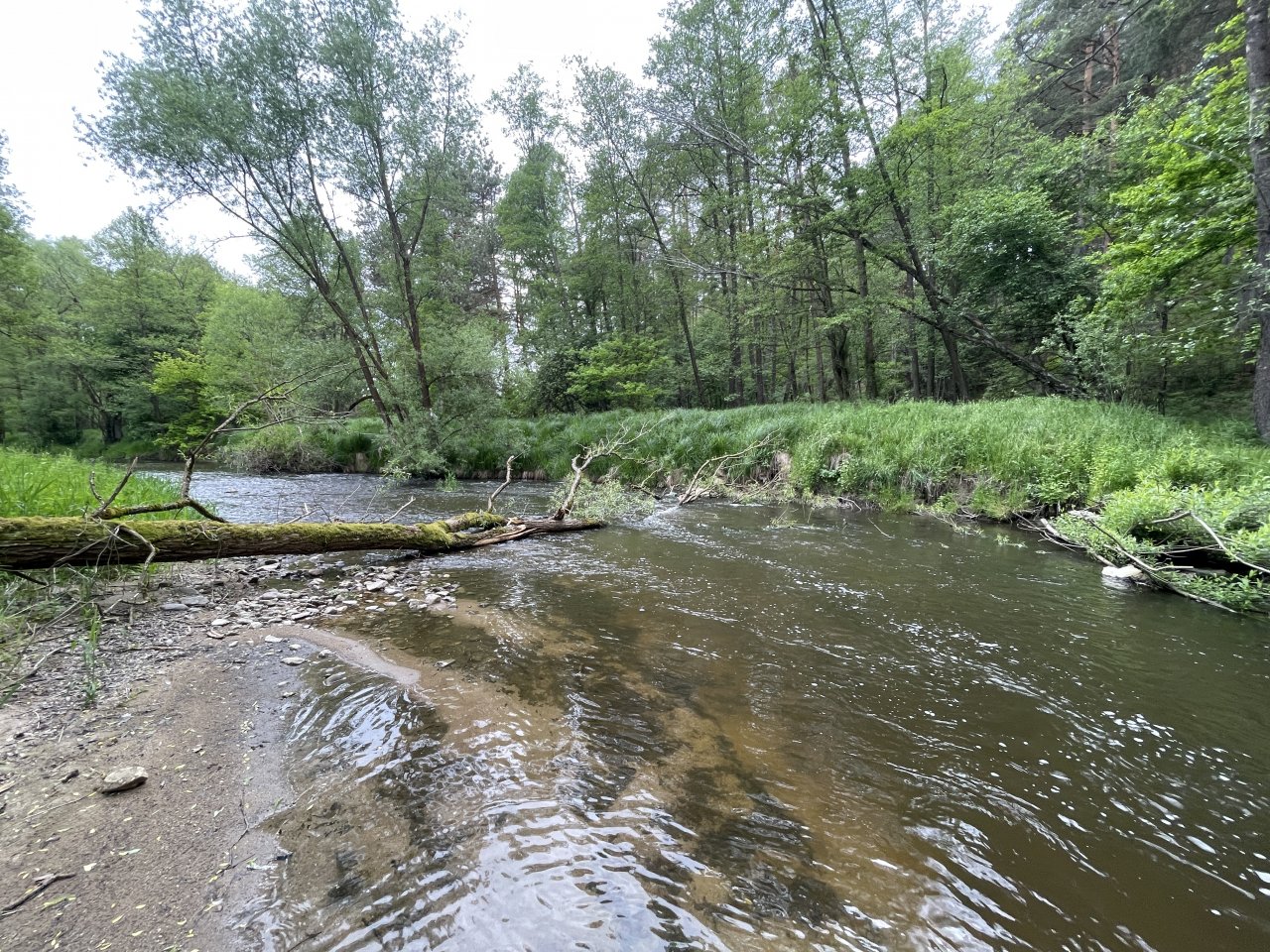 Mal�e na soutoku s �ernou