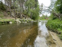 Malše na soutoku s Černou