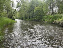 Malše na soutoku s Černou